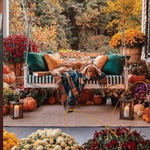 Meet your Posher, Tina